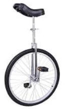 unicycle 2
