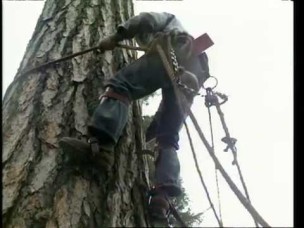 tree climbing tools
